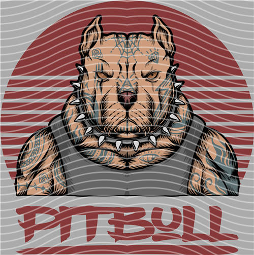 Street design-JT 4645